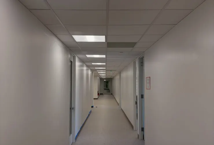 Office Building Corridor Repaint, Carrollton TX: photo 7
